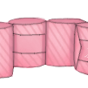 Jpintelit rose