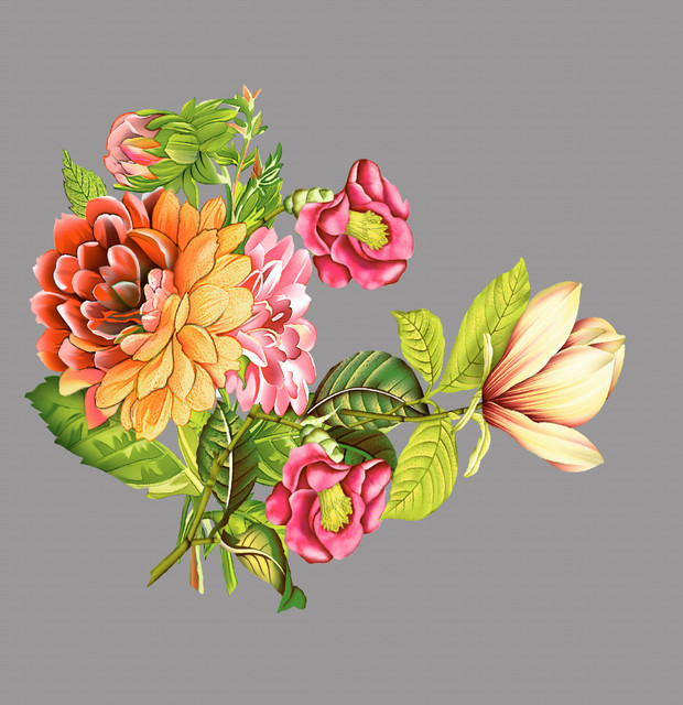 shutterstock 2068987082.jpg