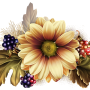 d862e9631d460b527c4f9bcc34d58f3e