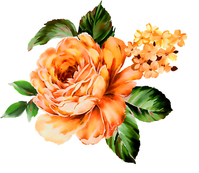 shutterstock-1633762006.jpg