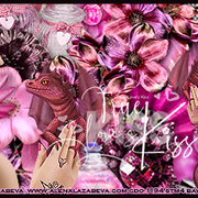 RS Magenta Springban julie