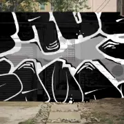 Graffiti artwork by TRUS