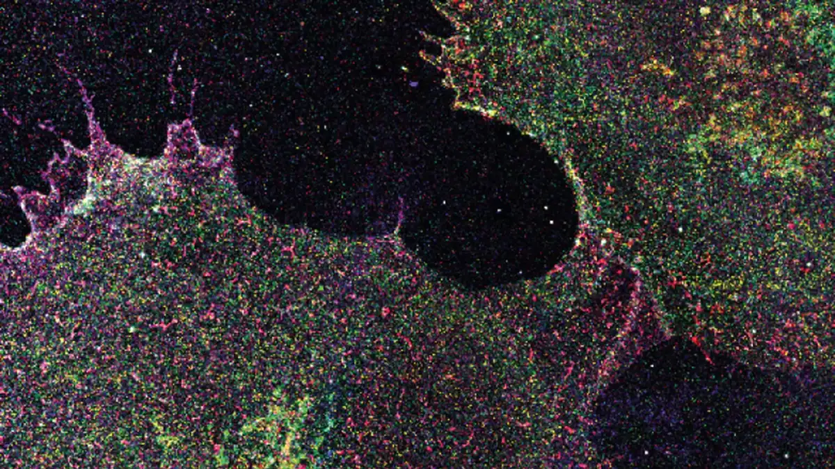 Sugar Patterns on Cells May Signal Cancer Early