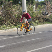 IMG-6447