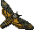 moth