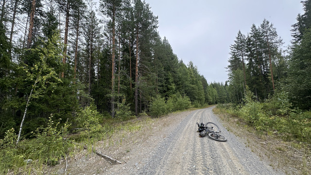 IMG 4437.jpg