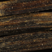 DSC01655