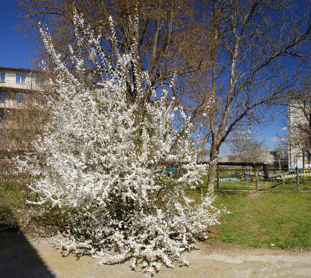 100c000943m