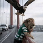 1777572608371.gif