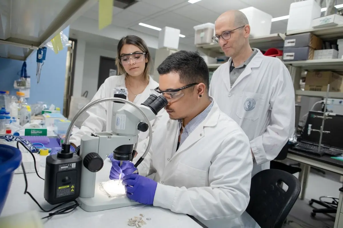 Sticky Solution Found in Freshwater Mussels