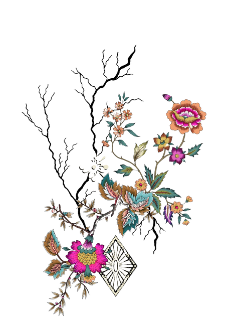 nohat-bg-removed-e4d3e1b5.png