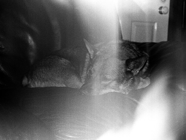 Scan-131108-0023.jpg