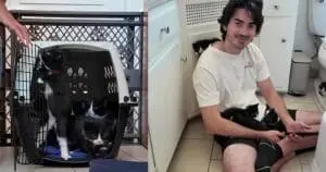 <Foster Kittens Bring Joy to a Lifelong Dog Lover's Home>