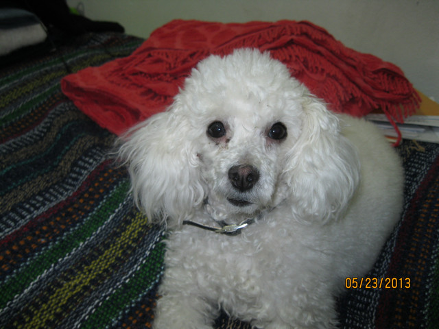 IMG 3269.jpg