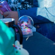 DSC0366