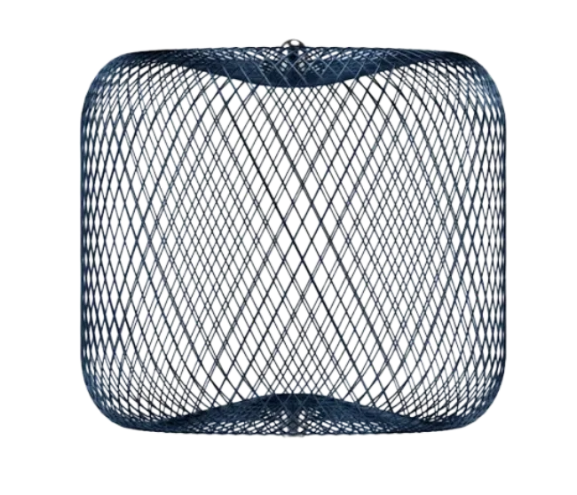 WEB