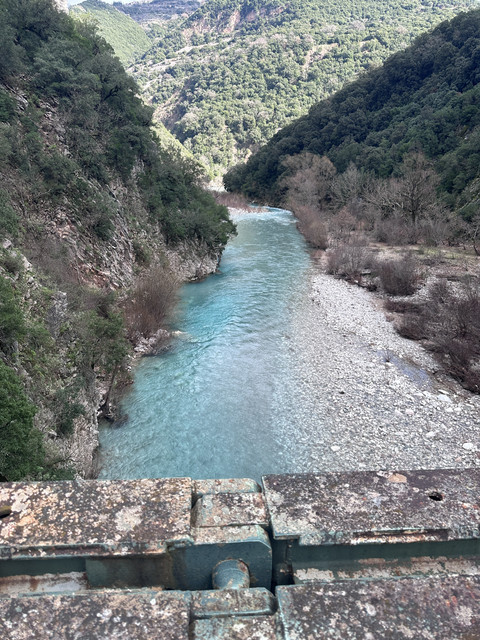 IMG 7884.jpg