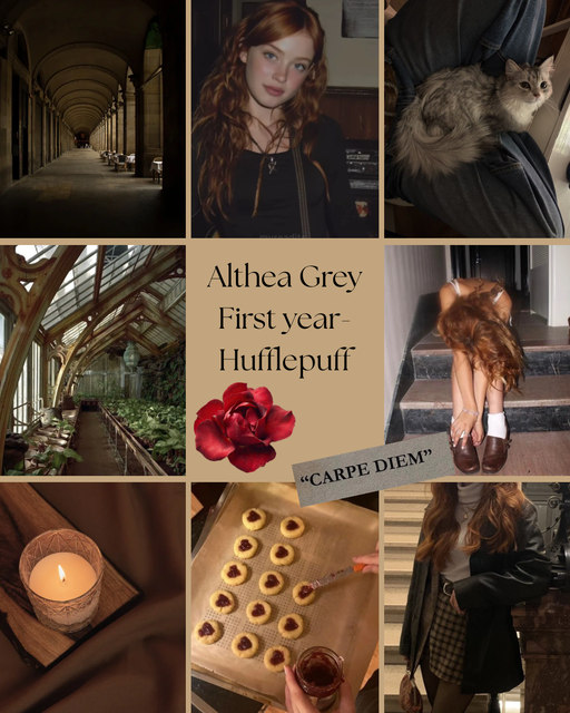 hogwarts-character-encyclopedia-1
