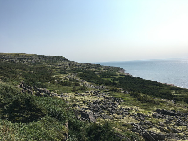 IMG 3580