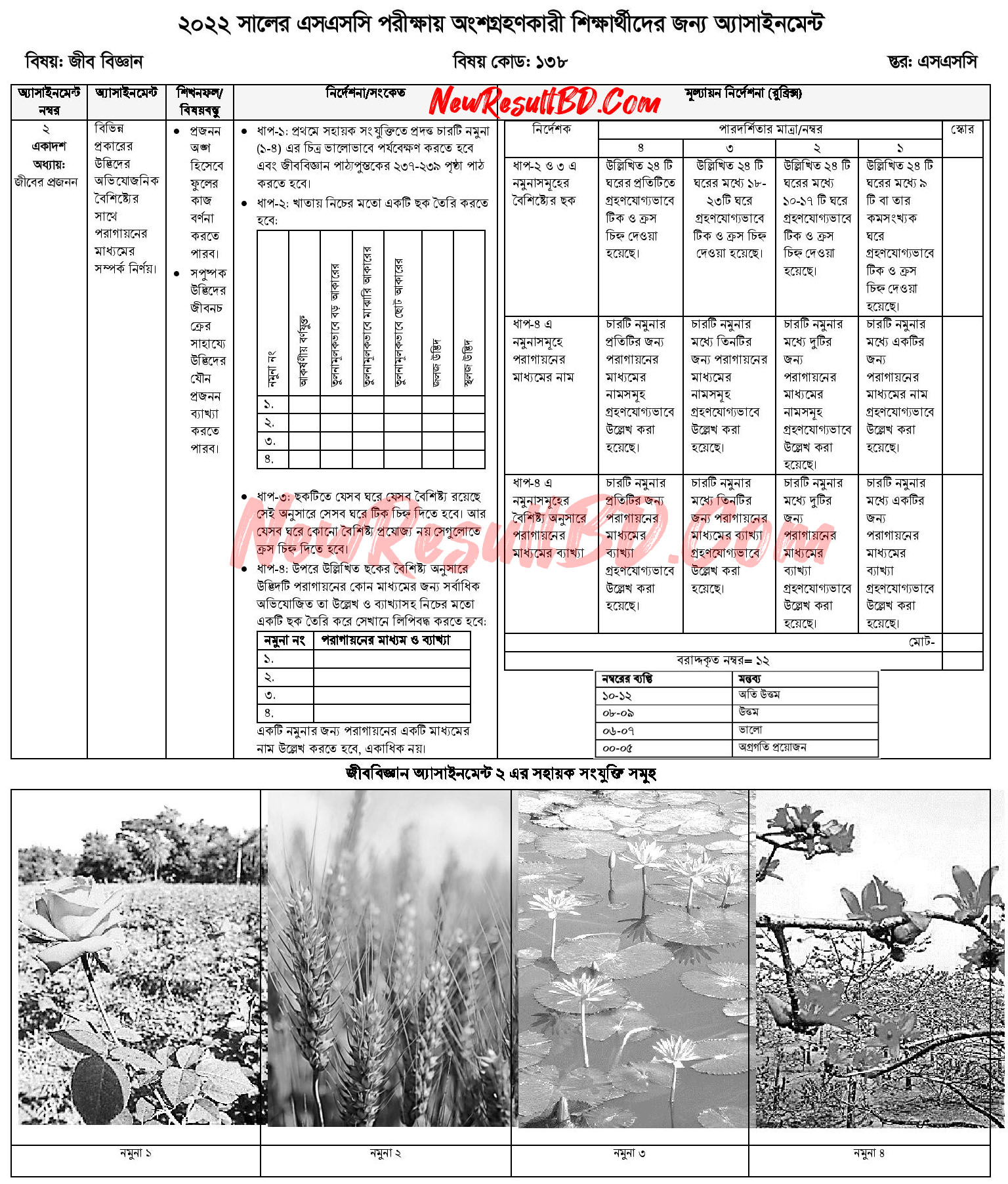 SSC 11th Week Biology Assignment