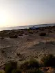 اسماك بحيرة البردويل