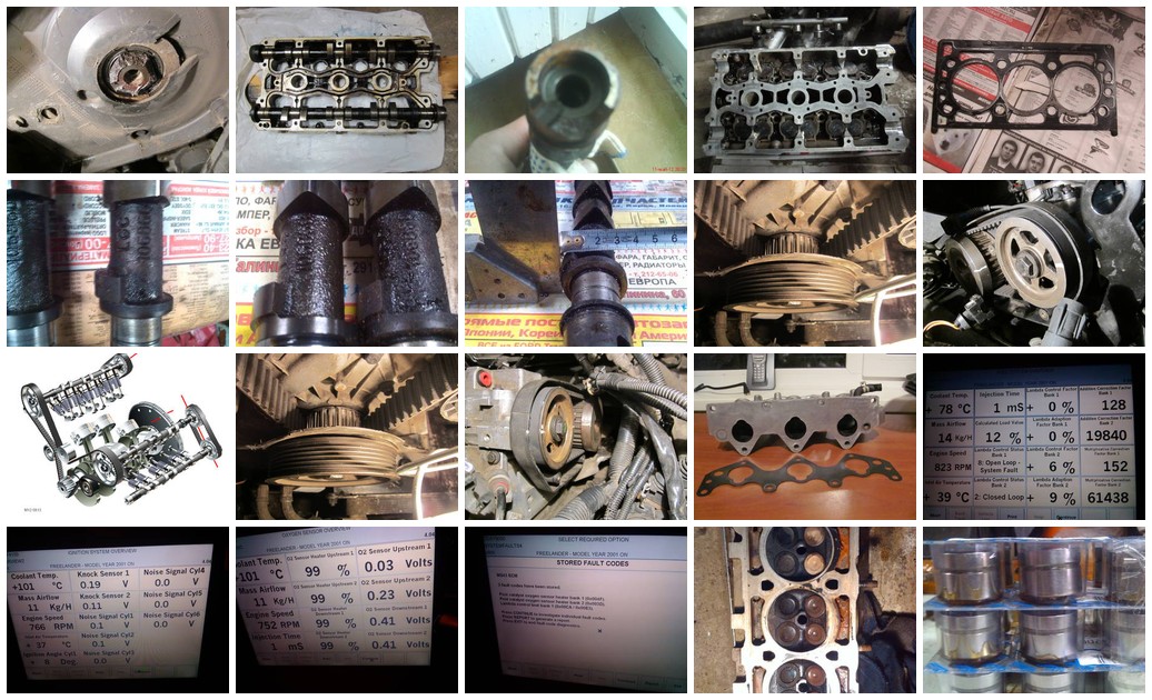 https://i.ibb.co/0yfgdQv6/3142-collage.jpg