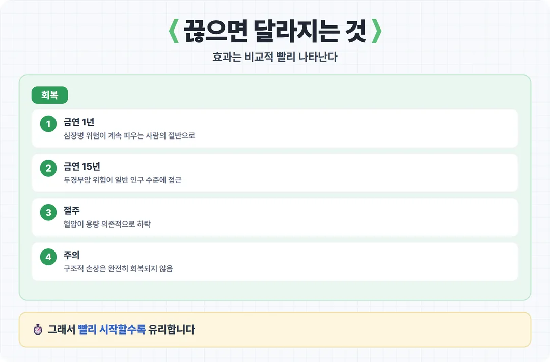 금연 절주 효과 타임라인 카드