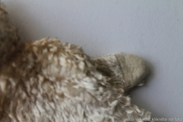 IMG-6740.jpg