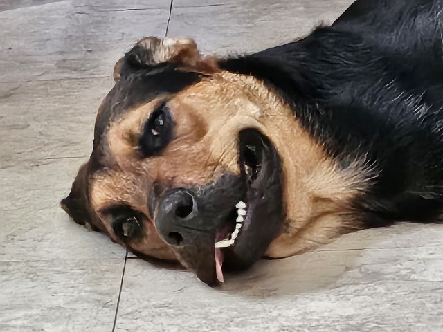 minnie2.jpg