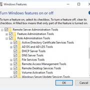 windows-features