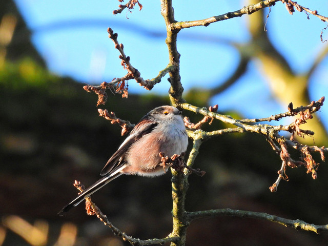 DSCN4072 2.jpg