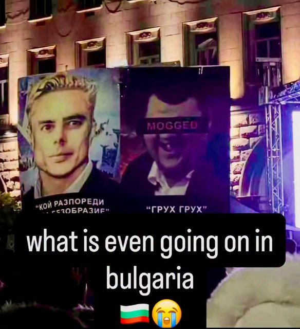 IMG 7722.png