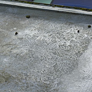 IMG 0354