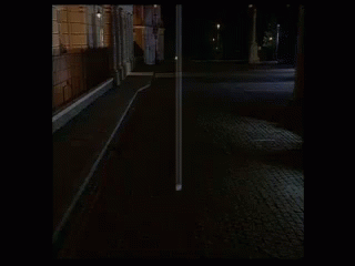 IMG-5688.gif