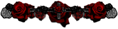 IMG-8711.png