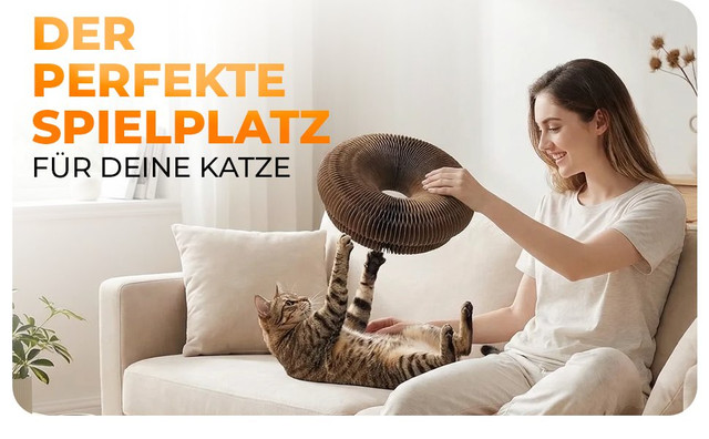 Katzenspielzeug Hauptbild