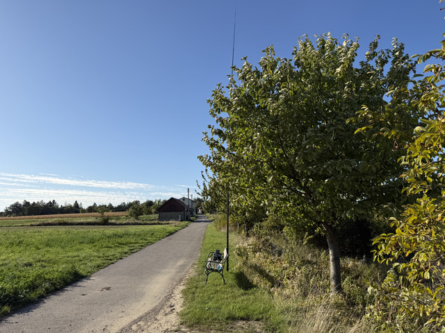 IMG-0360