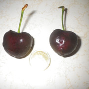 IMGP0138
