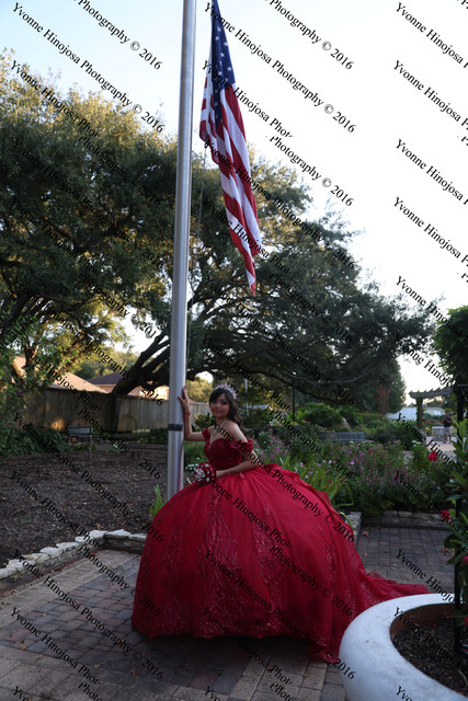 IMG 2550