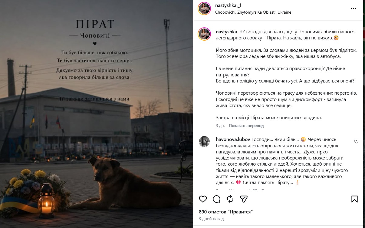 Через загибель собаки Пірата в Чоповичах подали заяву до поліції
