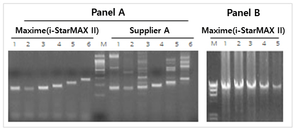 i-StarMAXII Hot-start 및 20kb Long PCR