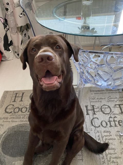 751-B7655-BA58-41-BB-B61-D-B4-F74-AAF0-C