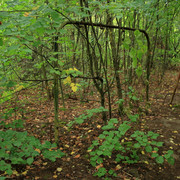 IMG-5907