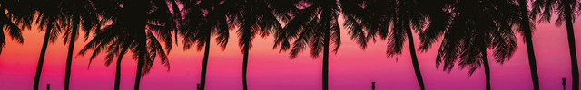 Background-California