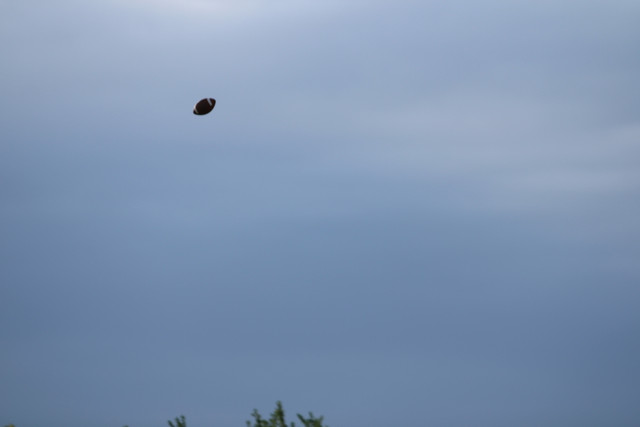 IMG-2153.jpg