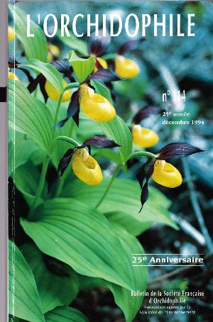 orchido114.jpg?042148