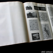 IMG-4028