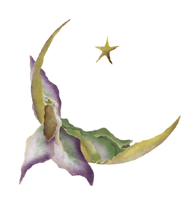 149.png