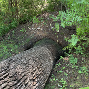 IMG-1474
