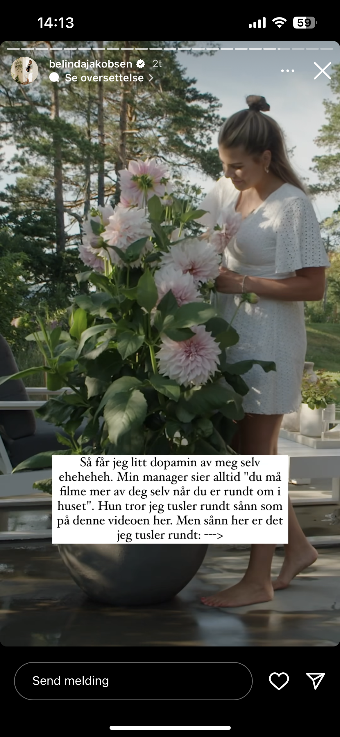 IMG-5856.png